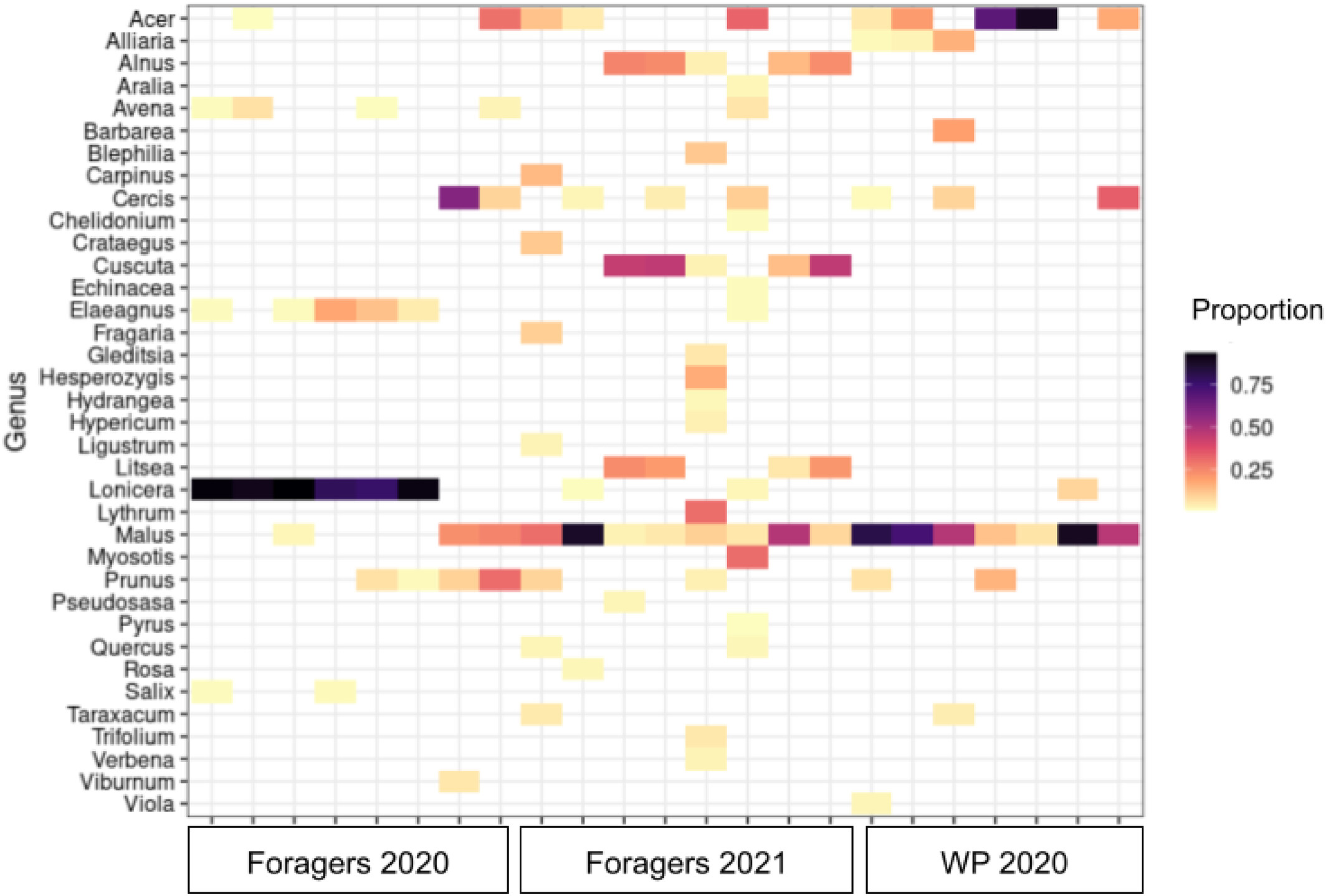 More than mesolectic: Characterizing the nutritional niche of Osmia cornifrons