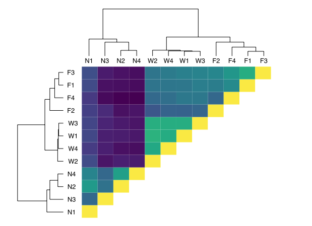 Tissue-specific transcriptional patterns underlie seasonal phenotypes in honey bees