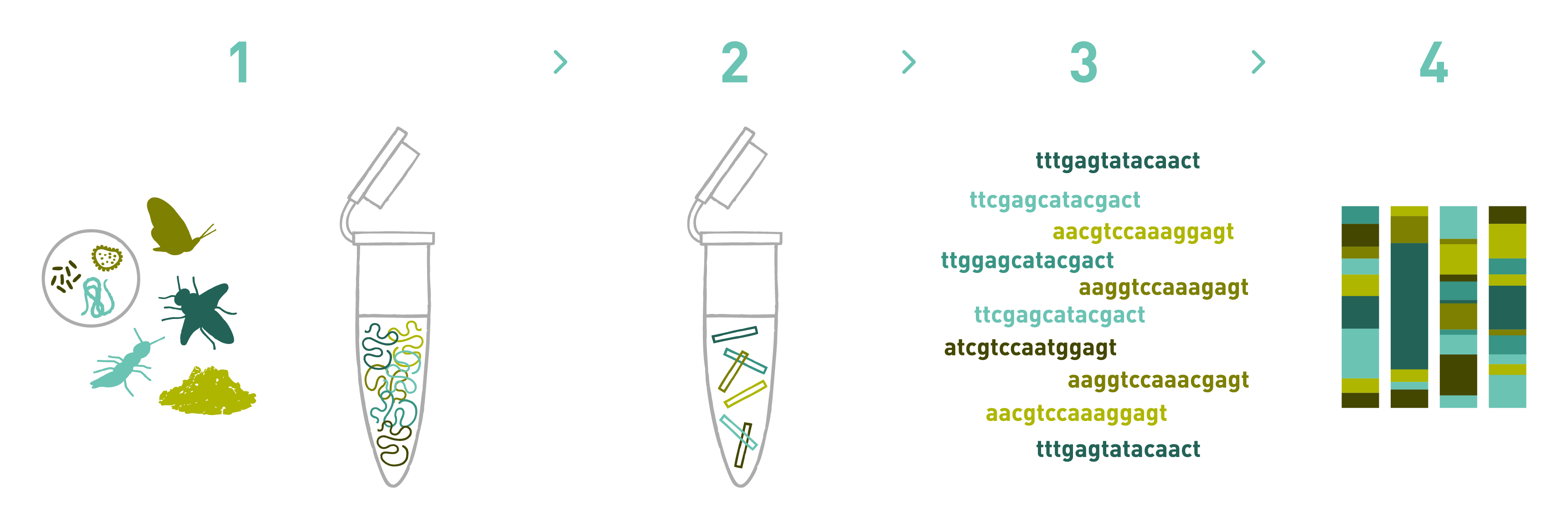 metacleaner-dna-metabarcoding